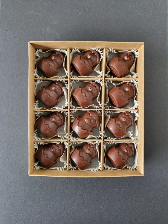 Mleczne wielkanocne kurczaki z misiowego Lasu - czekoladki mleczne (12x26g)